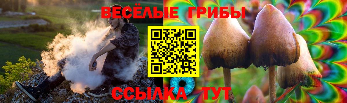 Тобольск  Псилоцибиновые грибы ЛСД  Псилоцибиновые грибы MAGIC MUSHROOMS  Вход с VPN 