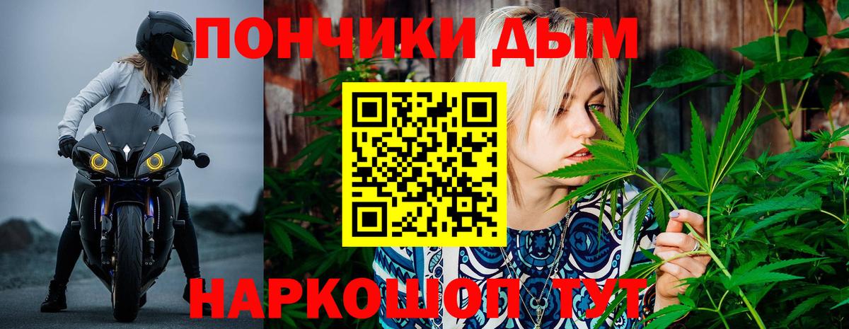 Конопля марихуана Тобольск